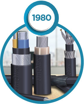 Finolex Cables Factory Company Milestones | Finolex Cables.